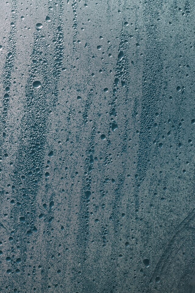 anton-darius-SW8sKEBvbts-unsplash